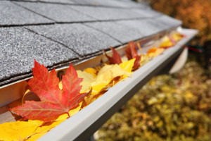 Professional Gutter Cleaning in Macomb County