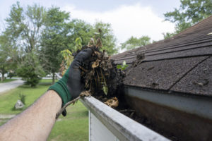 Madison Heights gutter cleaner