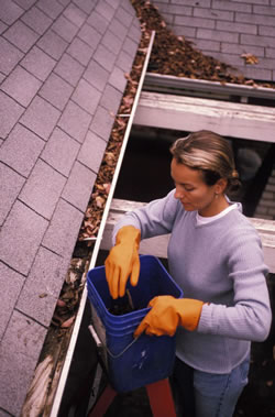 Gutter Cleaning Service Clinton Twp., Michigan
