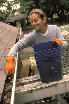 Gutter Cleaning Service - Macomb County, MI