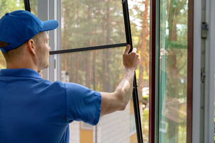 Window Screen Cleaning Service