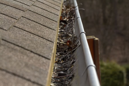 Wet Leaves and Debris in Gutters