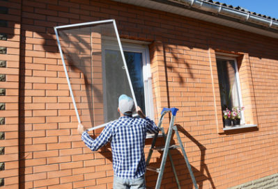 Your Window Screens Need More Care and Attention That You Give Them
